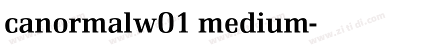 canormalw01 medium字体转换 canormalw01 medium字体转换
